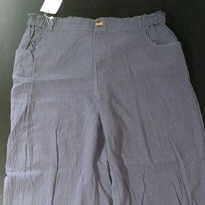 NWT Casual Navy Blue Pants Large